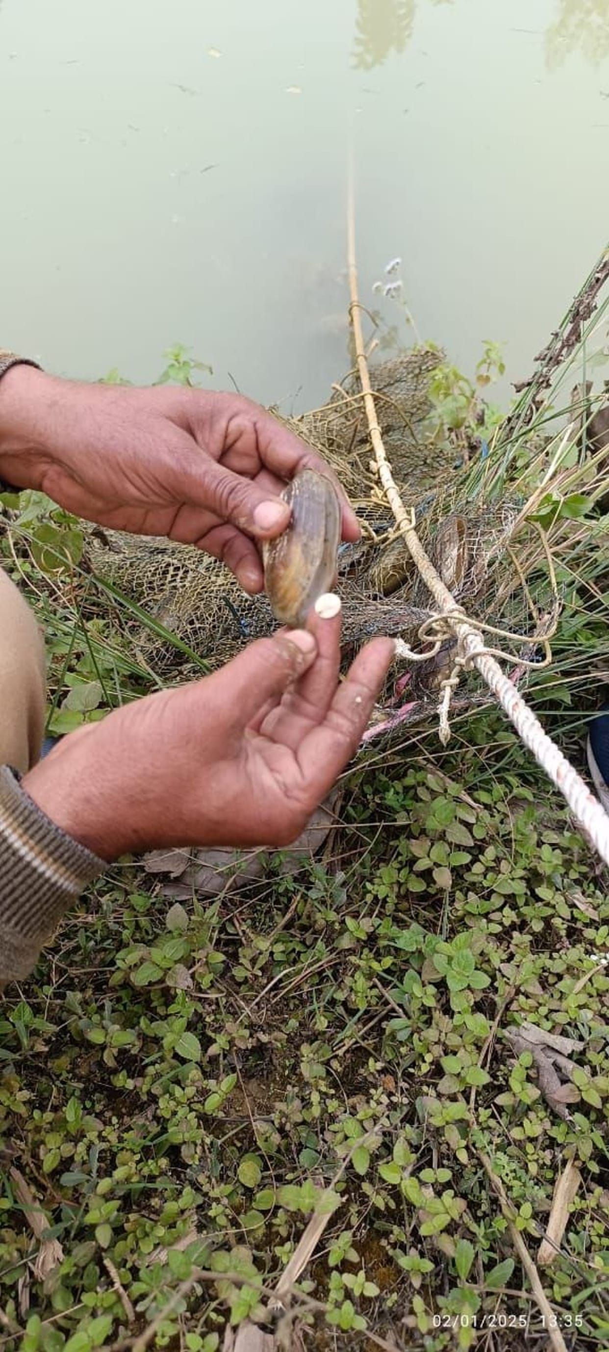 Santosh became self-reliant by producing pearls from oysters in ponds, not in sea