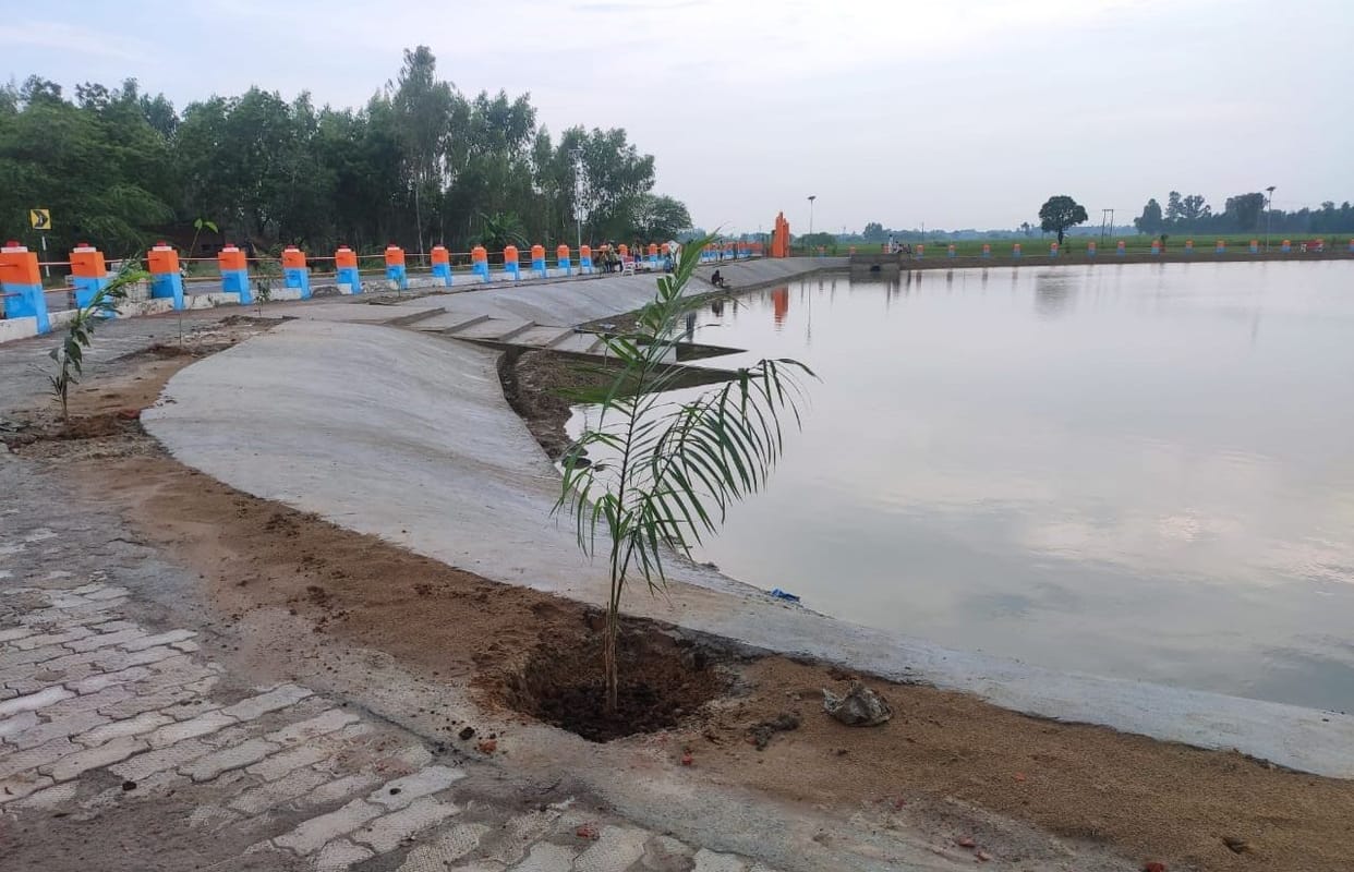 371 ponds will be renovated