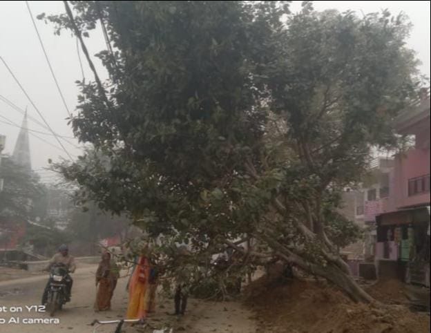 Tree fell on HT line, power cut for six hours