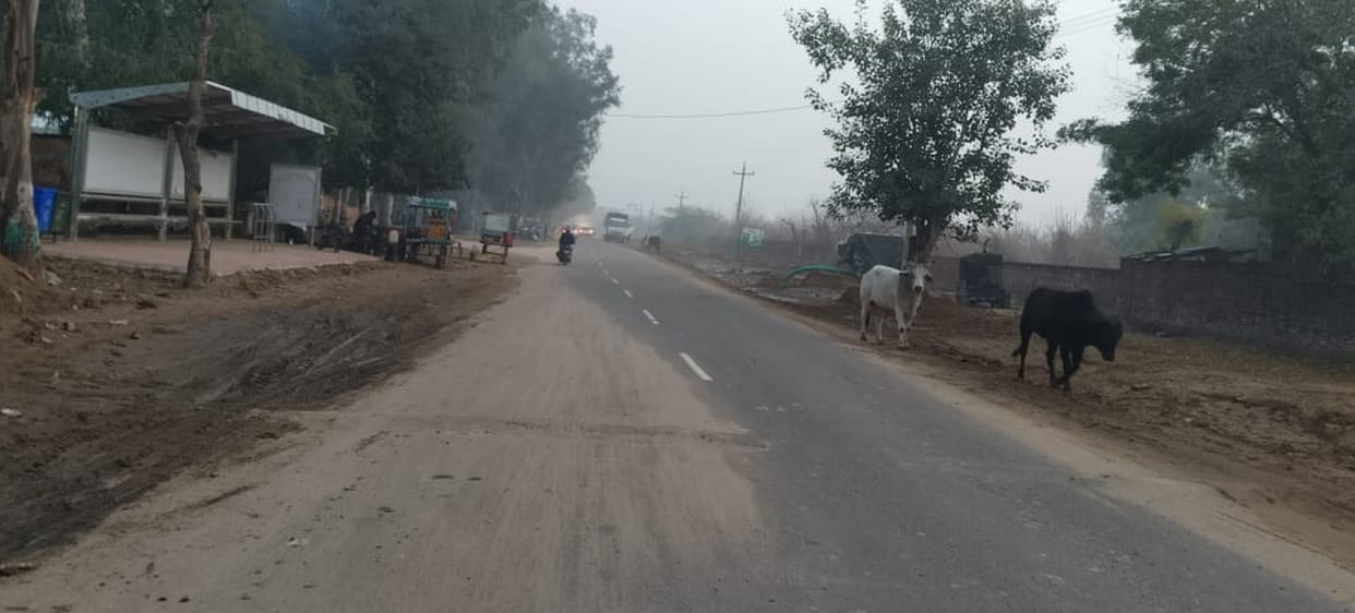 dadri kanina road will be reconstructed