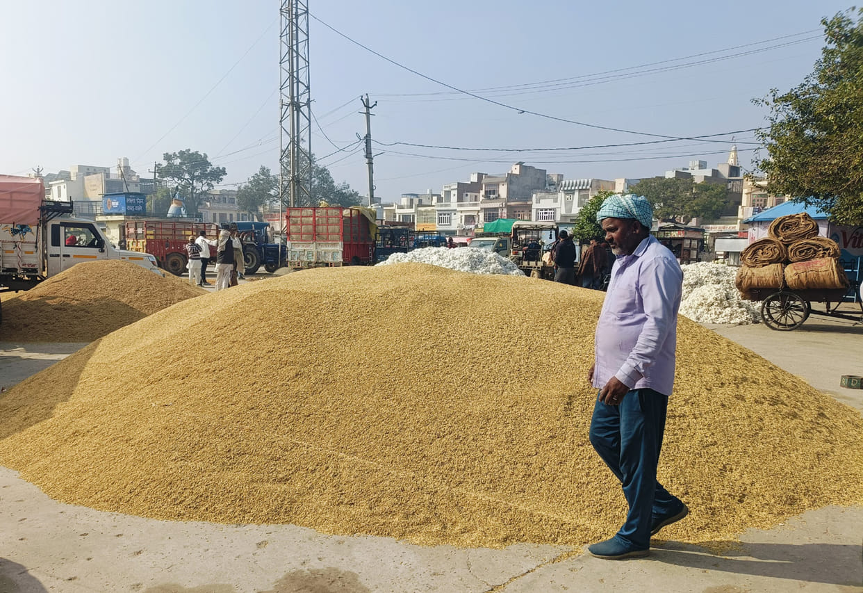 Prices of paddy 1121 are not increasing