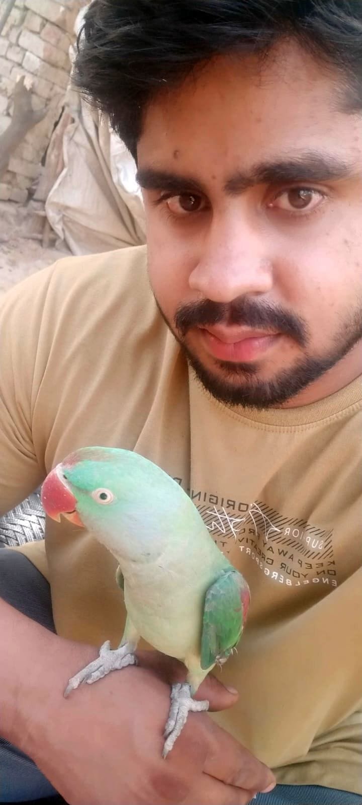 Leaving job and treating animals and birds himself