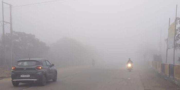 Two including farmer die in cold