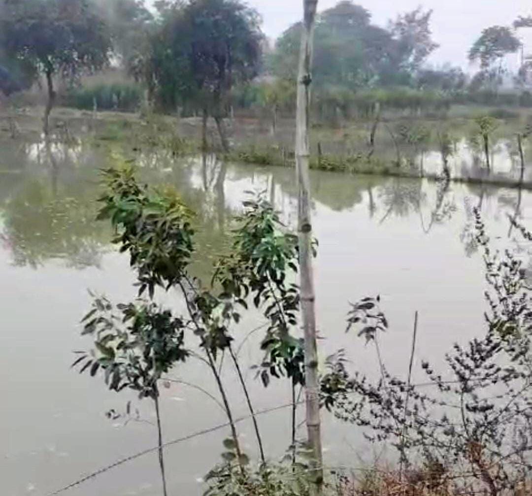 50 bigha crop submerged due to cutting of bank of Rajbeha