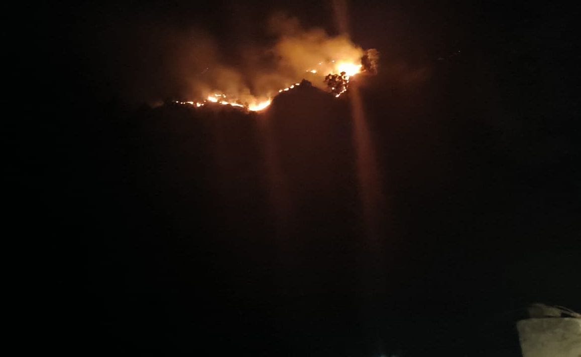 Forest fire, damage to forest wealth