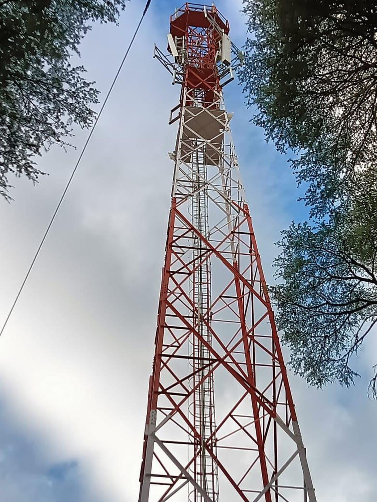Tower was installed in Pukhri, but network was not available