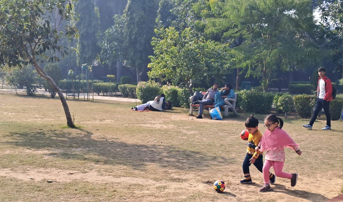 Cold wave subsided, afternoon sunshine brightened the park