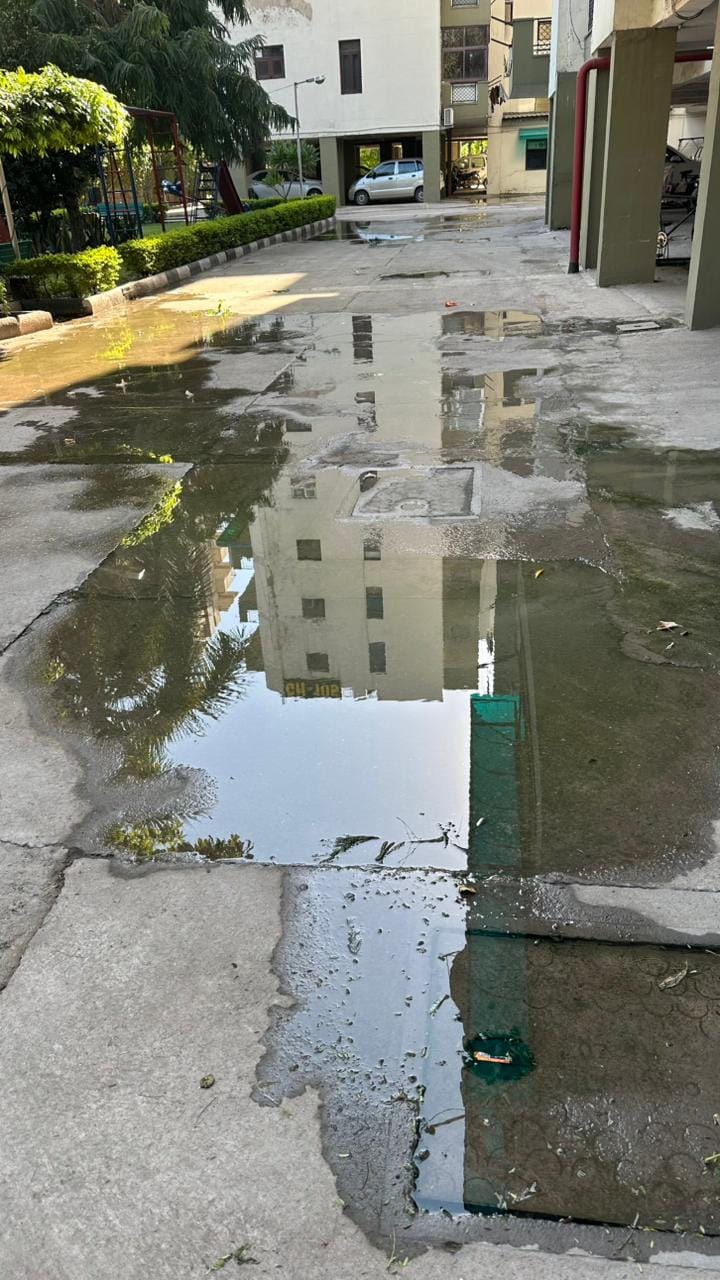 Sewer overflow, bad smell in 111 flats