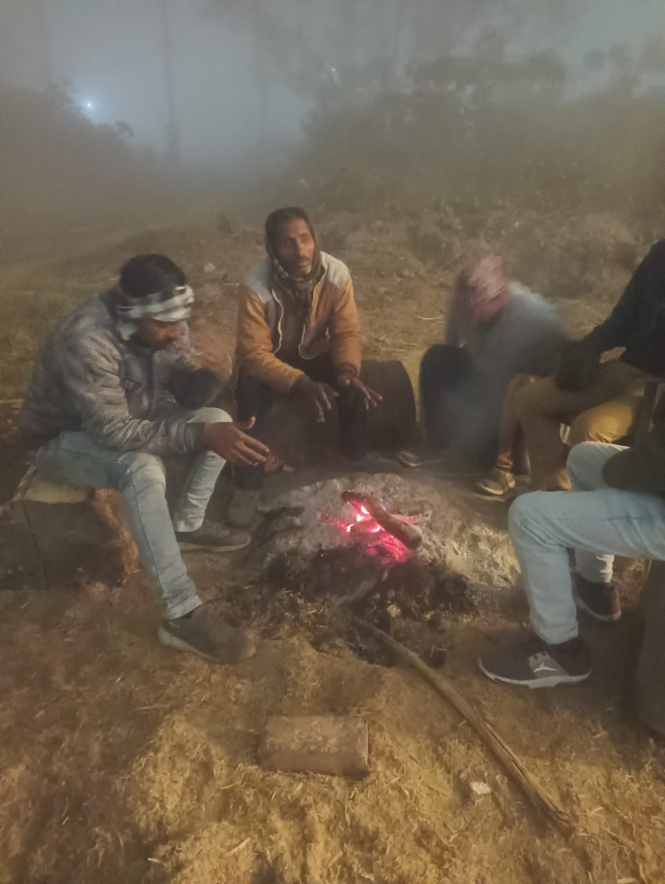 Bagasse is not available for farmers, they are working with Patai.