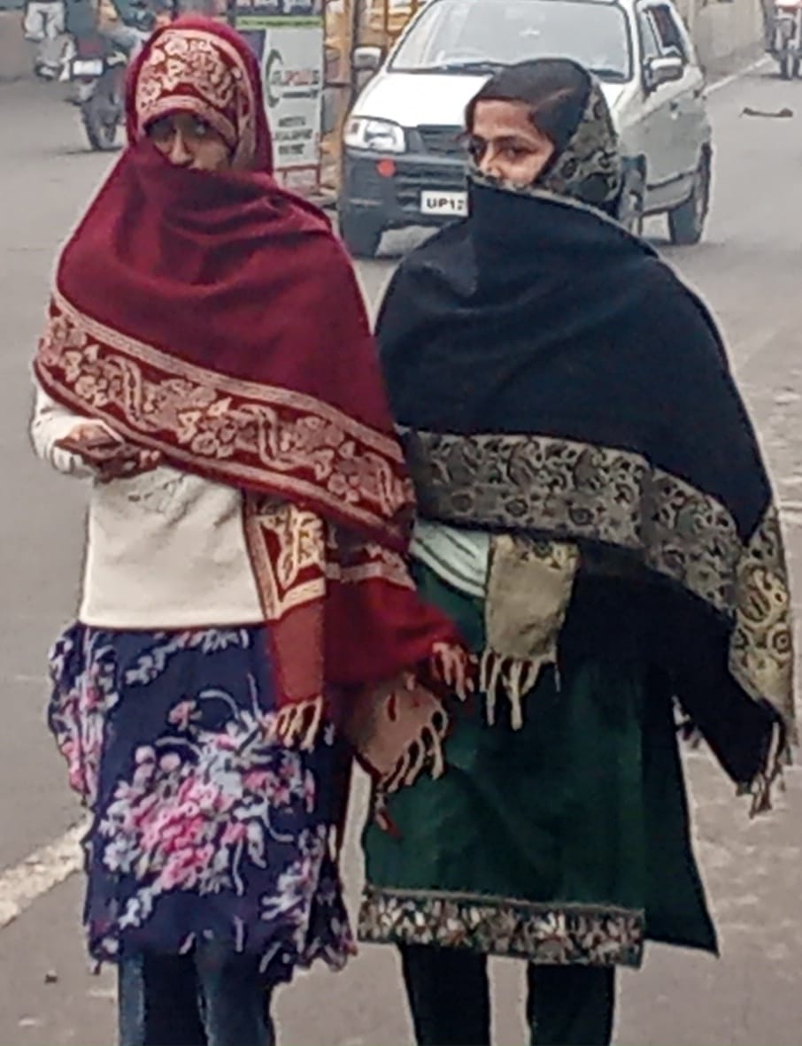 Drizzle, cold wave left shivers
