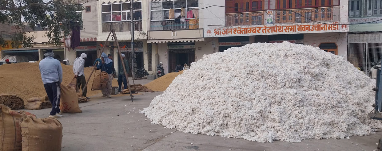 Farmers are getting the price of cotton higher than last year and the price of paddy is less than Rs 1121.