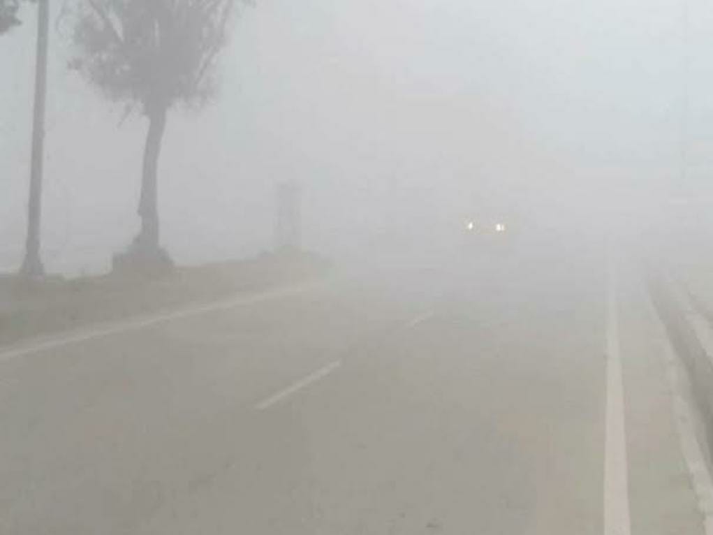 Dense fog in the morning, sunshine in the afternoon