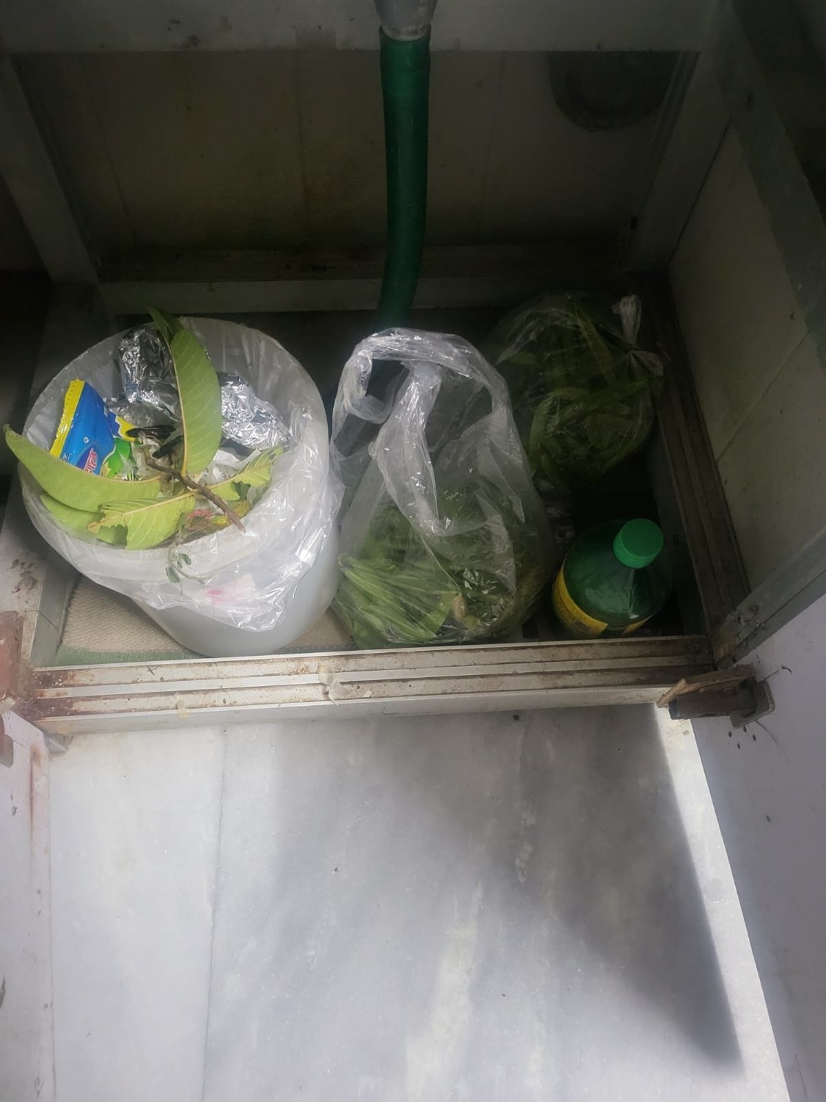 Garbage not collected from houses in Aliganj for three days