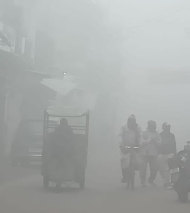 Dense fog troubled the morning, sunshine gave relief in the afternoon