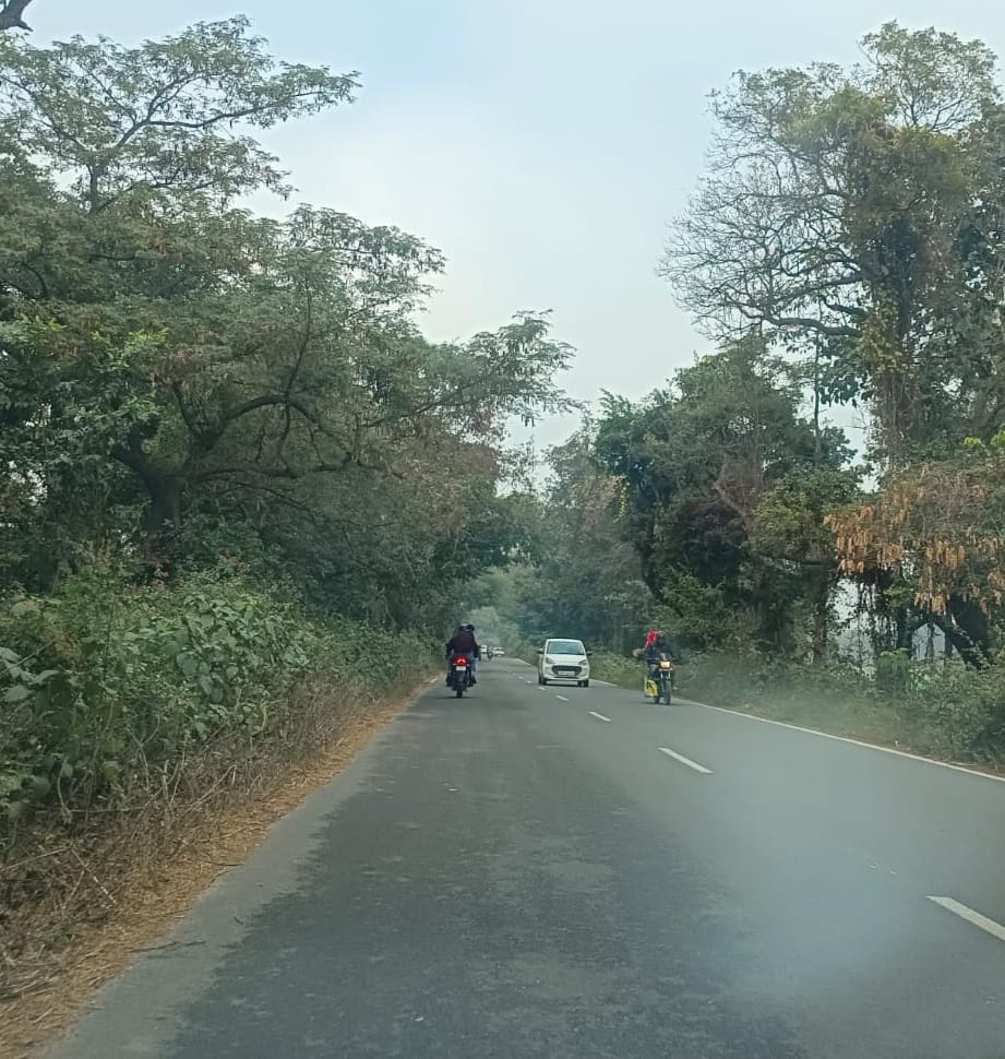 White strip missing from the road...risk of accident increases in fog