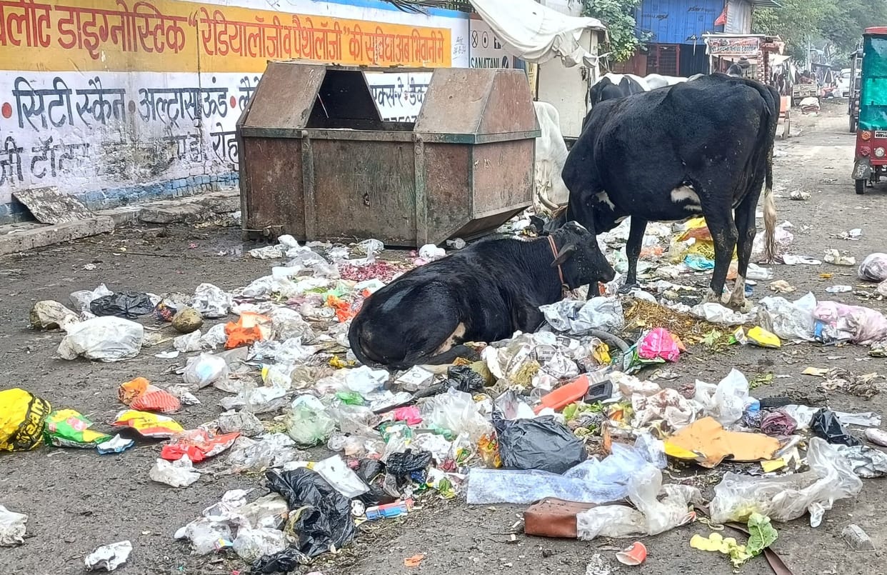 Cleaning is being done in half of Bhiwani city