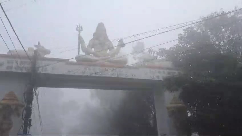 छाया घना कोहरा