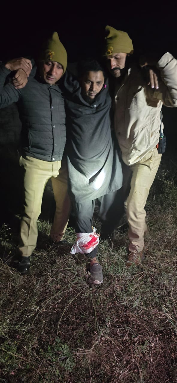 Two cows shot in leg in police encounter