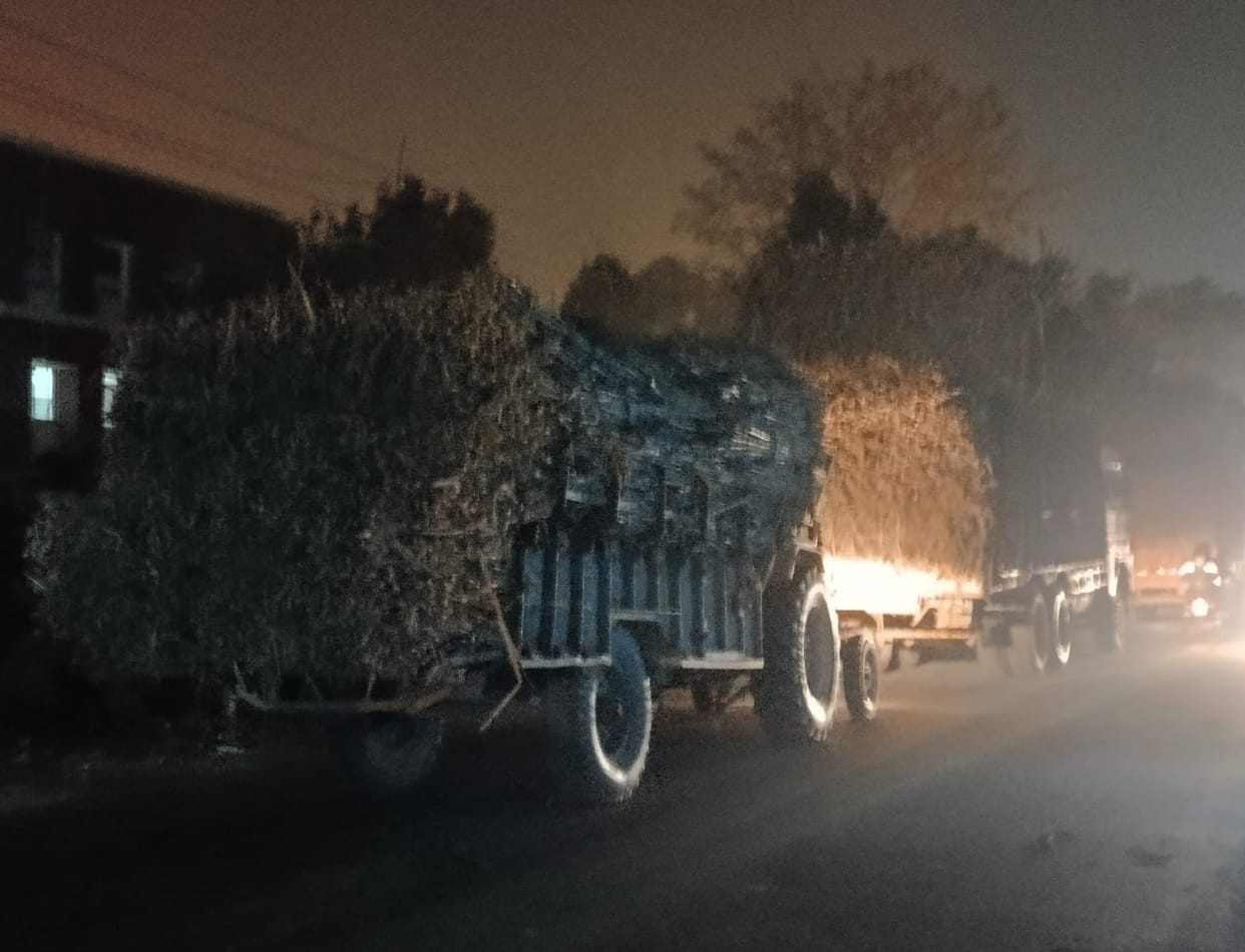Overloaded vehicles filled with sugarcane running without reflectors, responsible unaware