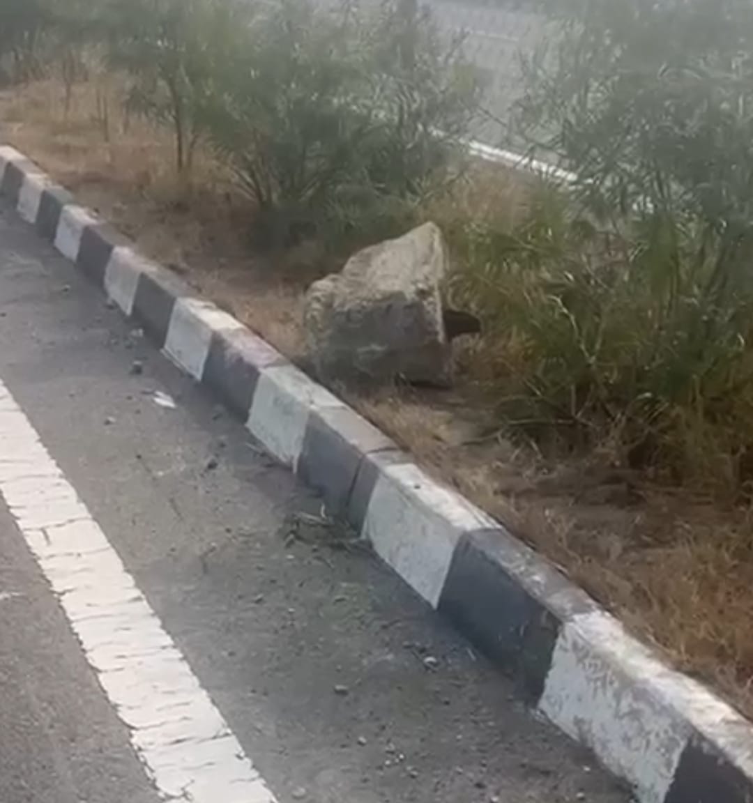 MLC saw the incident site, complained to SSP