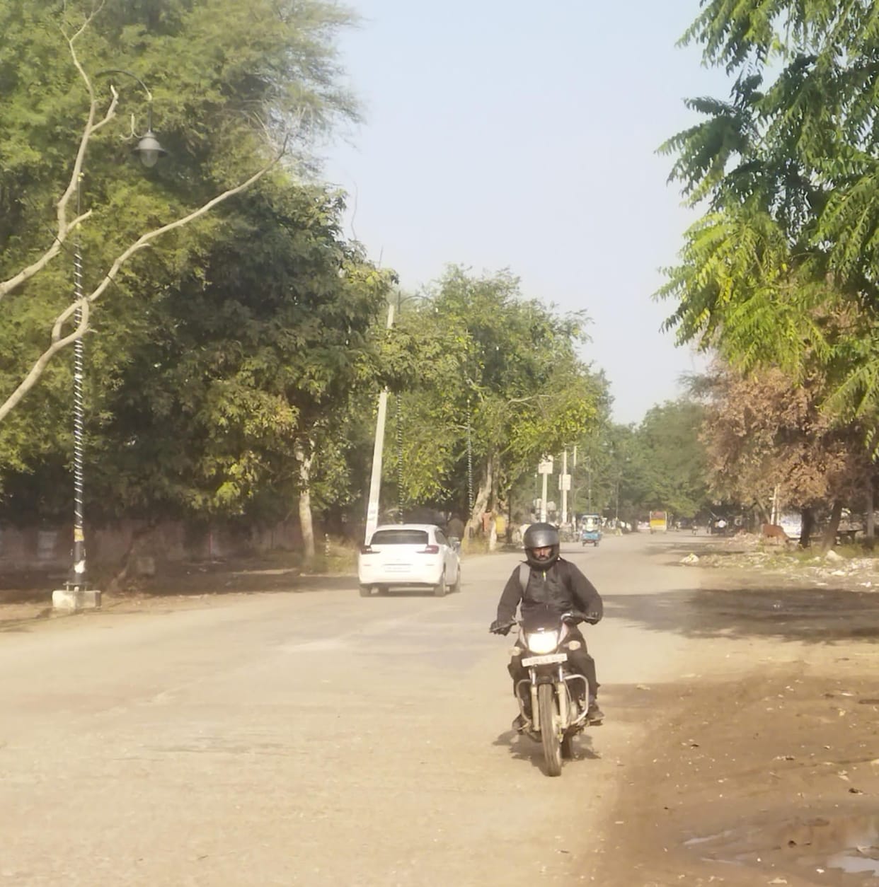 People got relief from cold due to sunshine