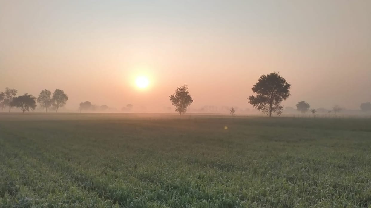 UP Weather Update Relief from Chill in Uttar Pradesh as Icy Winds Ease Sunshine Brings Comfort