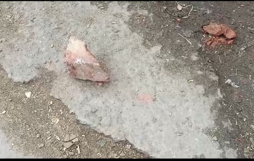 Due to old rivalry, bullies beat the family with sticks