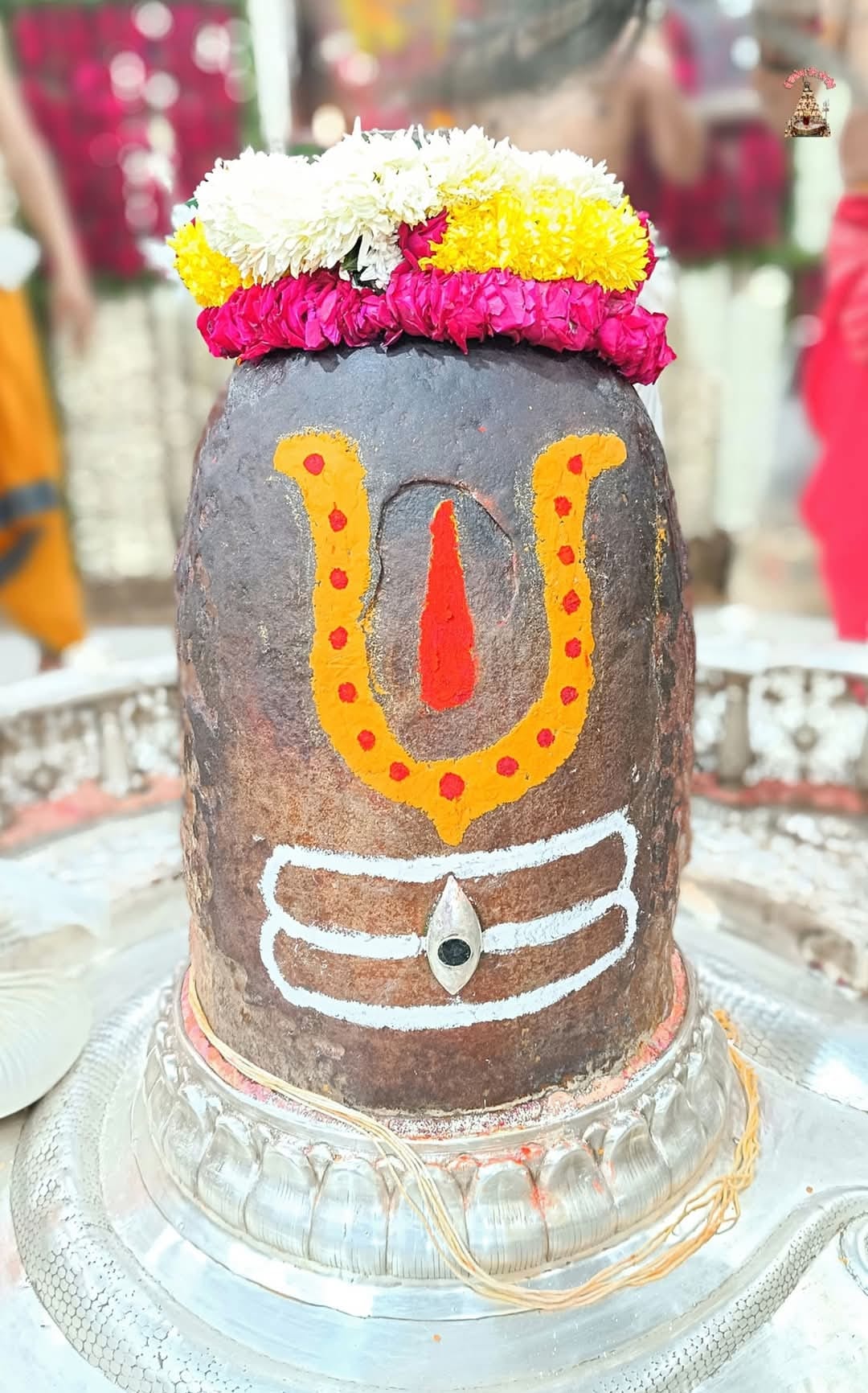 Ujjain News: Baba Mahakal Adorned with Vaishnav Tilak and Tripund, Mesmerizing Devotees with Divine Beauty