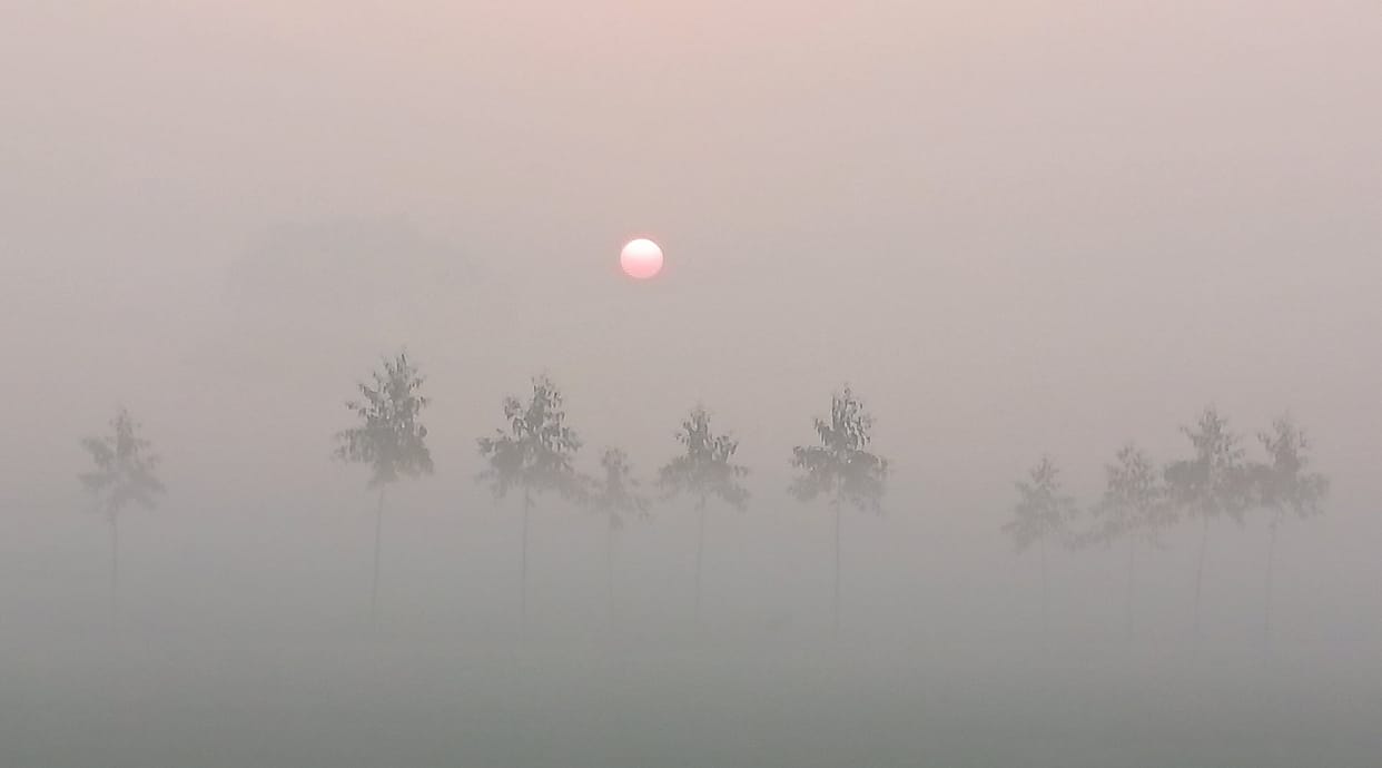 There was relief from the sun in the afternoon, morning and evening were cool