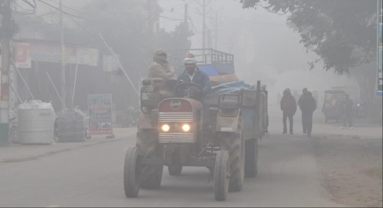 Fog remained from night till morning, cold wave shivered