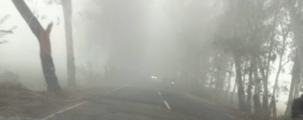 Fog stopped the speed of vehicles, visibility remained ten meters