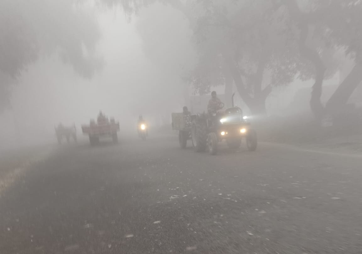 Fog...stopped, cold wave shook the city