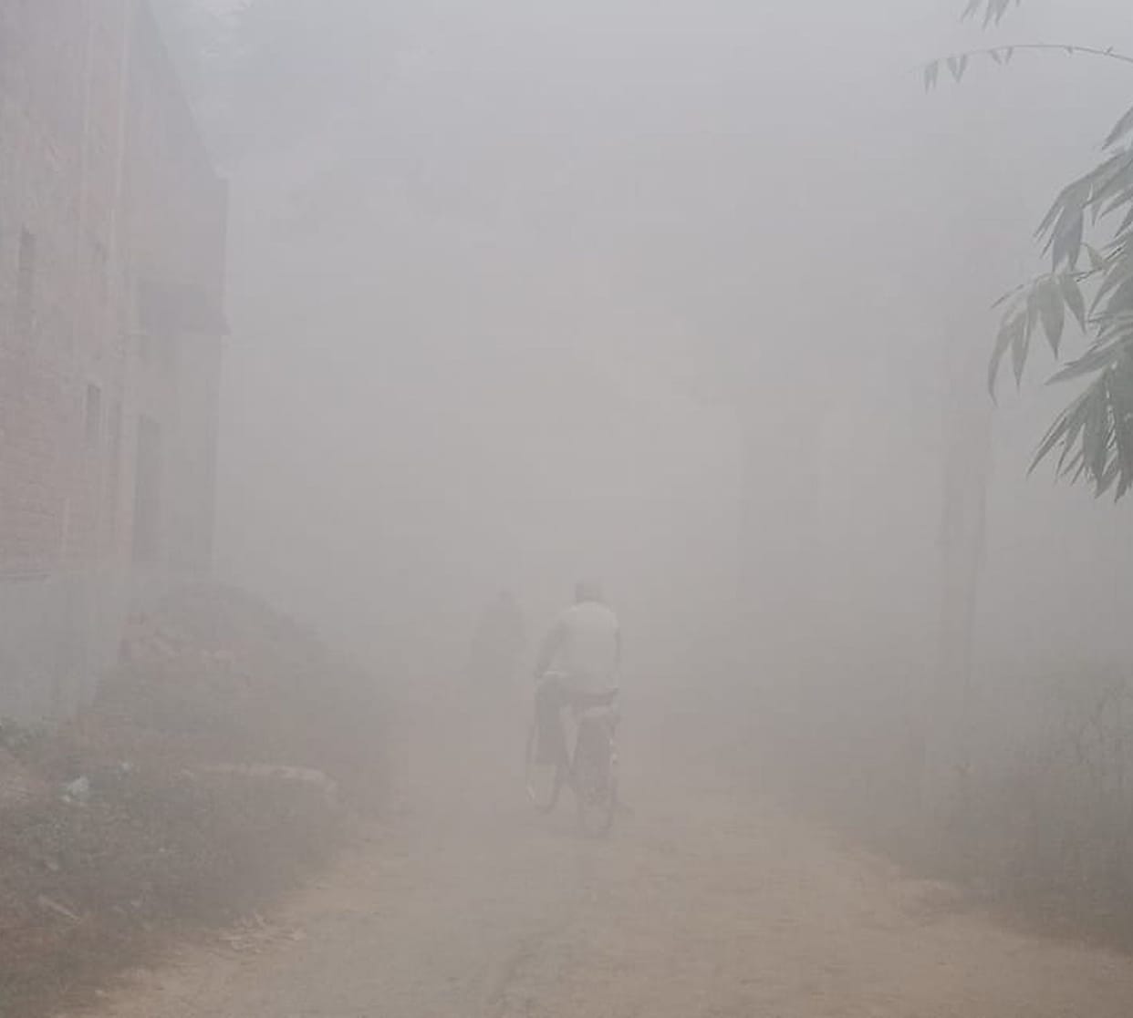 Dense fog stopped the speed of vehicles
