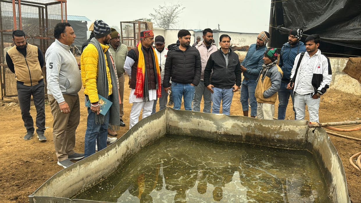 Encroachment in cowshed, commission members angry