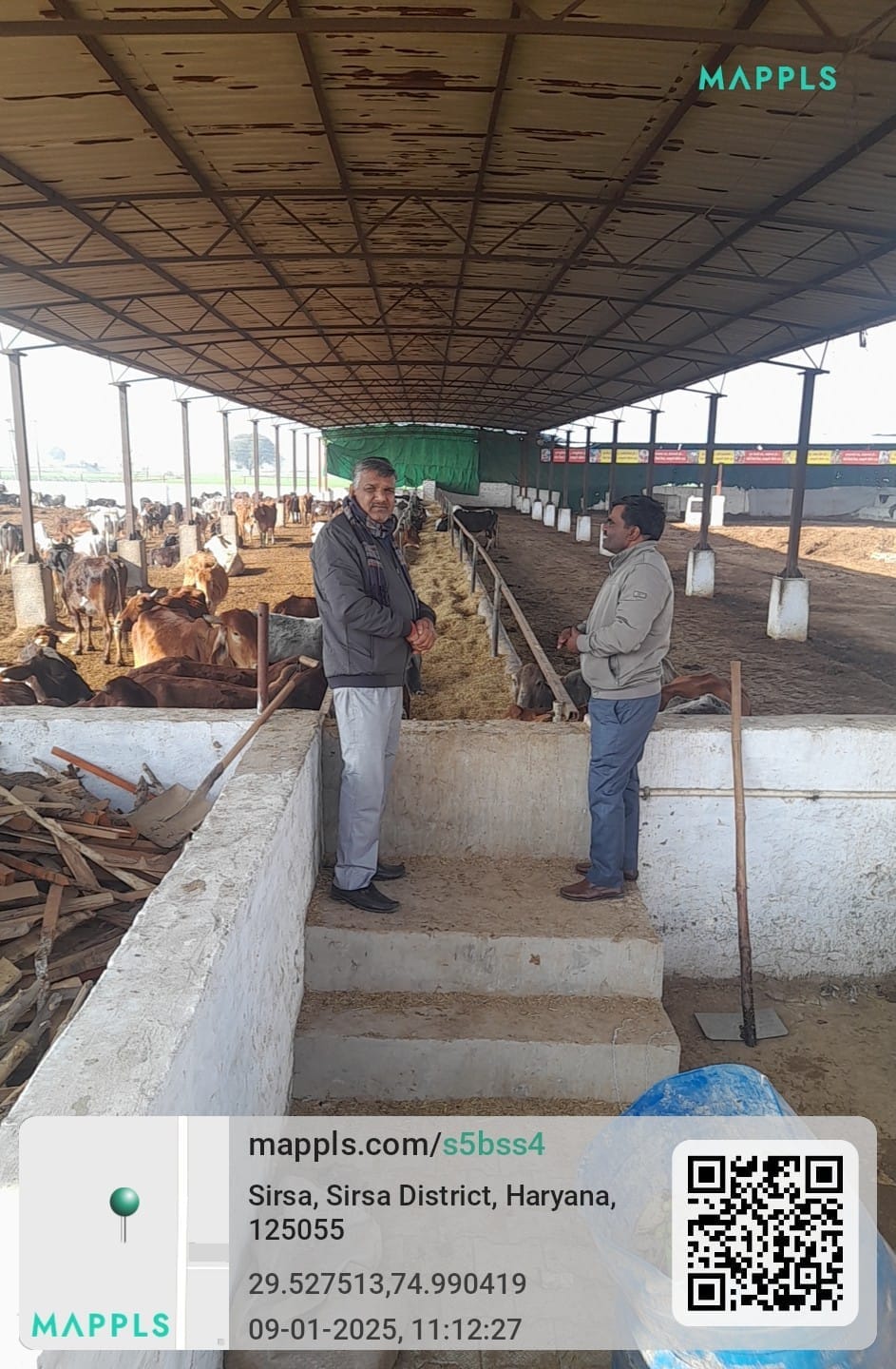 Animal catch campaign started again, CSI checked arrangements in cow sheds