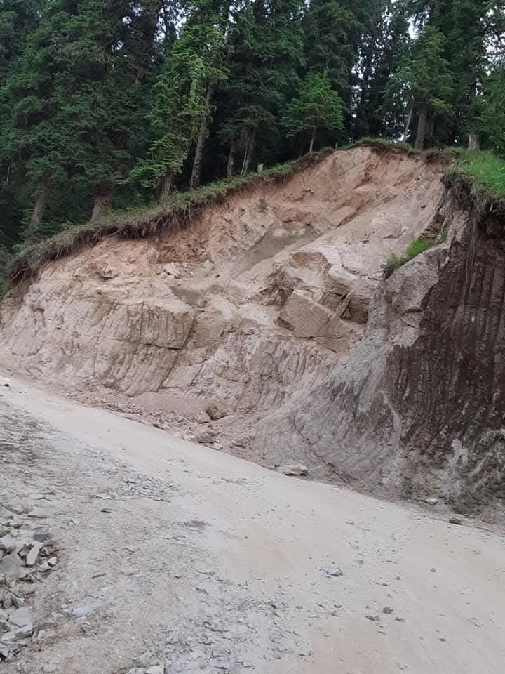 Road built in wildlife sanctuary, seven officers including RO chargesheeted