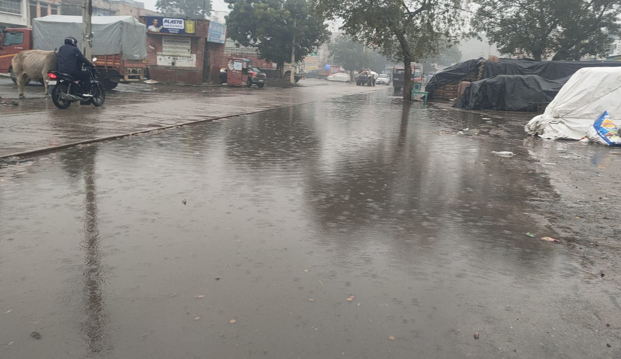 8 mm rain