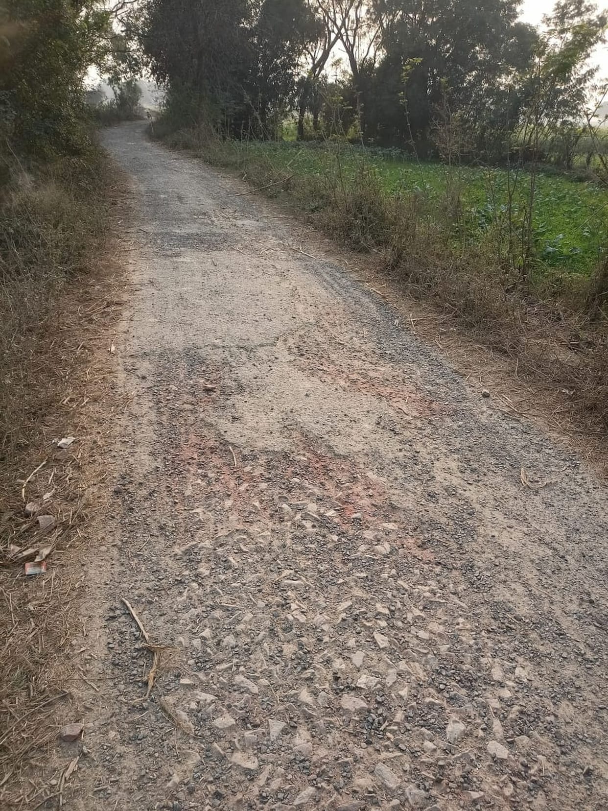 Roads in Aunchha and Mainpuri area will be repaired with Rs 25 lakh.