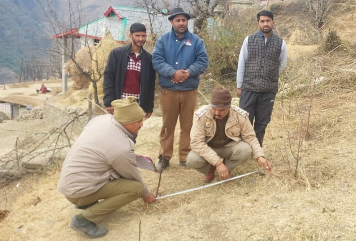 Police tightened screws on irregularities in purchase of apple plants, inspected orchards