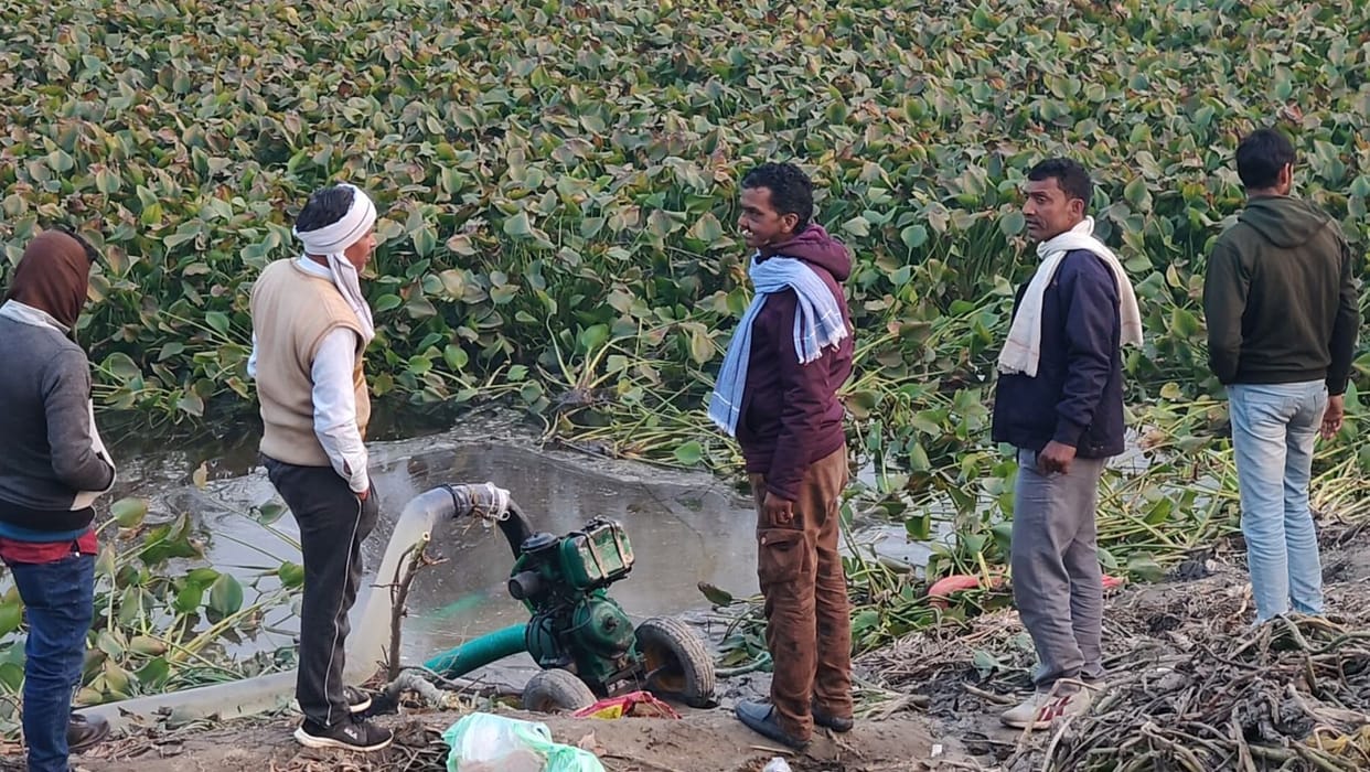 Draining of water started from pond to catch crocodile