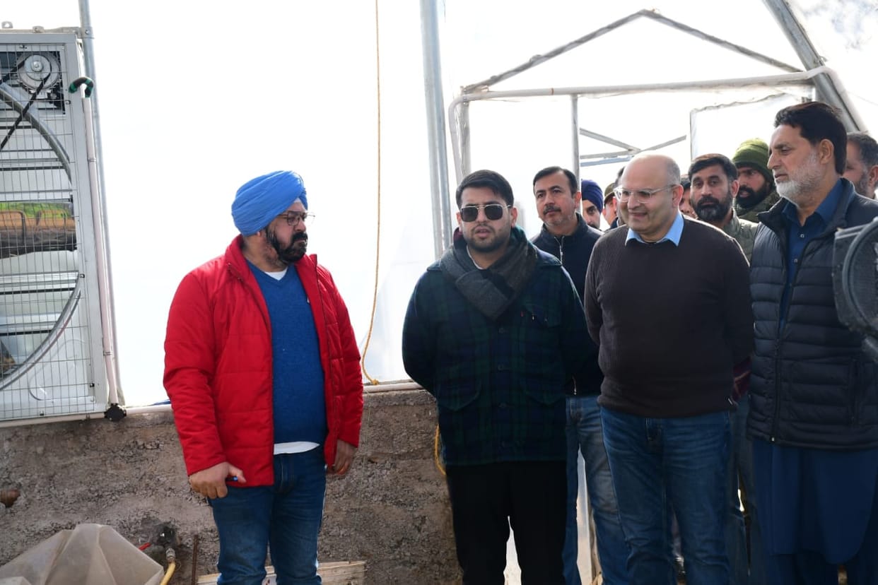 Hi-tech ply green house established in Saranu under HADP