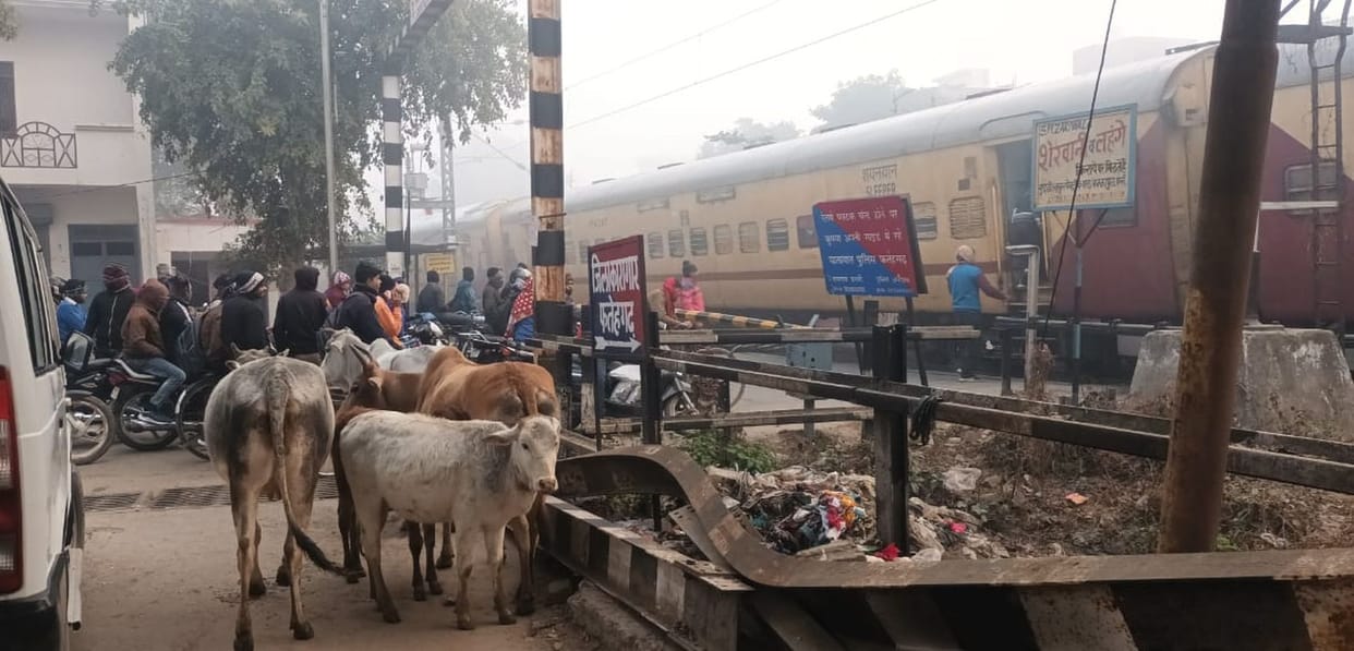 Kalindi Express collides with a bull, accident averted