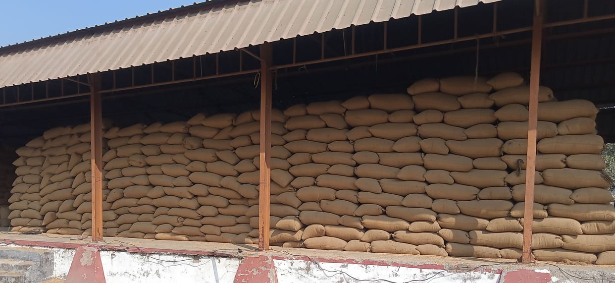 Paddy procurement stalled at 76 centres, farmers' problems increased