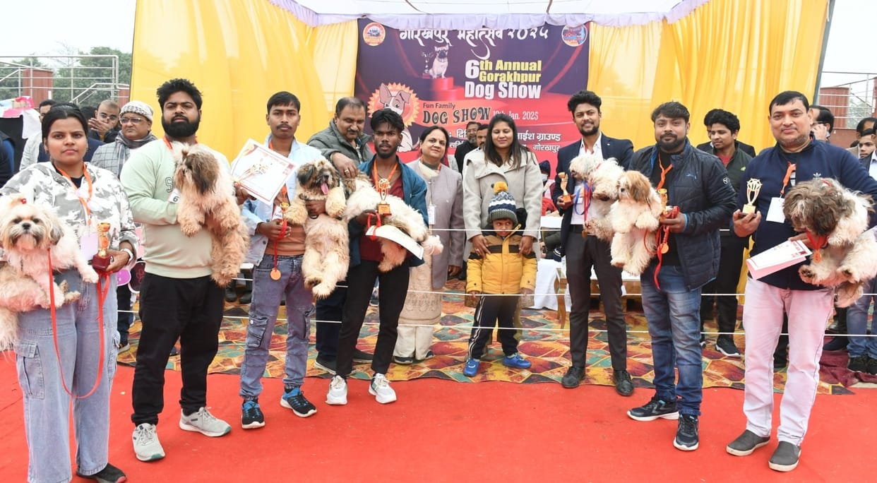 Gorakhpur News: Dog Show: Toy Pam gets the title of Best of the Show