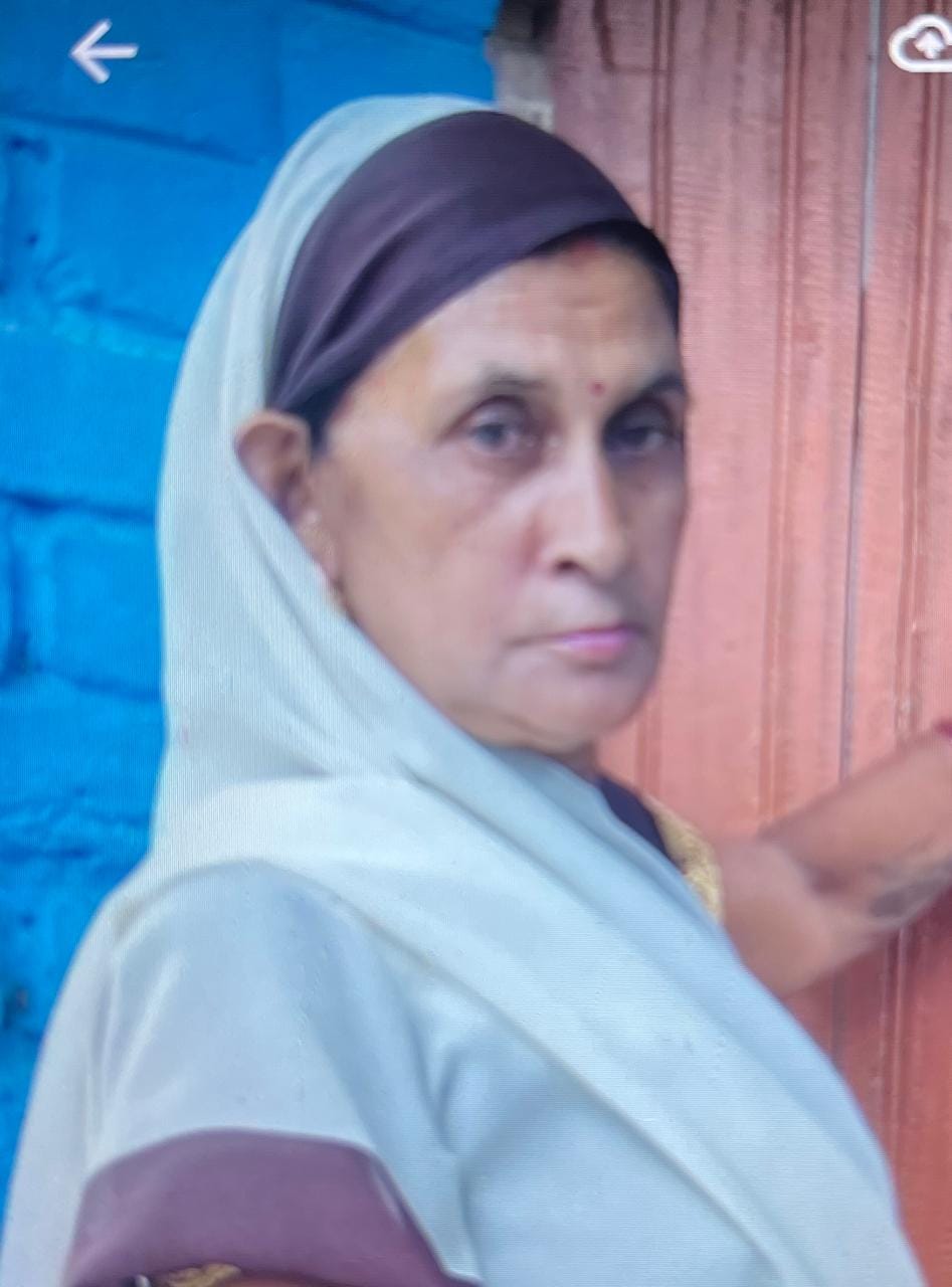 Bike riding Asha worker dies after being hit by truck