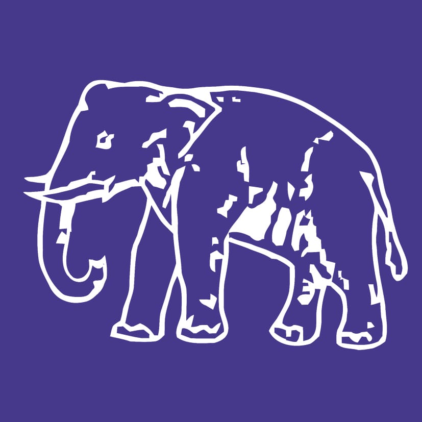 The fight is triangular and the elephant is expected to run fast