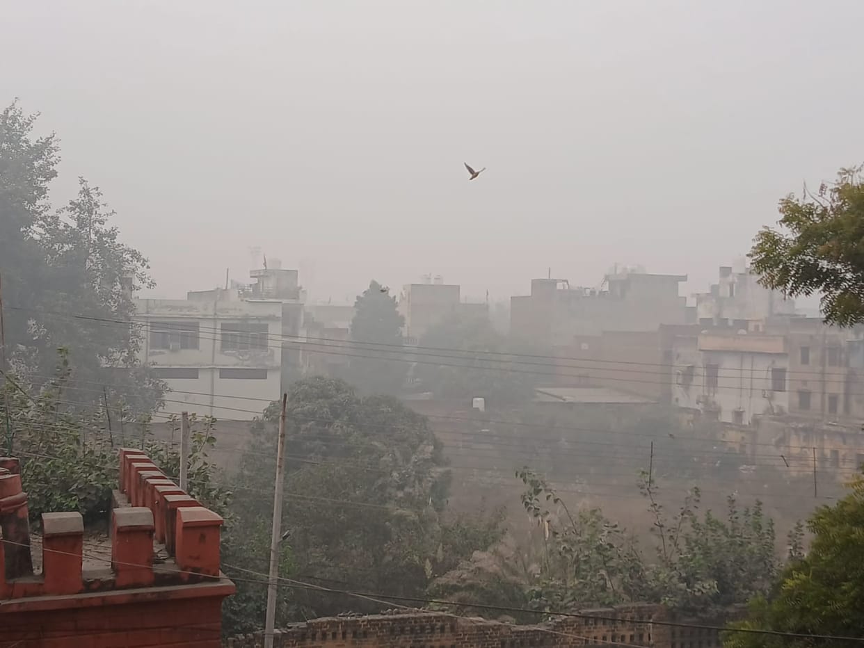 Fog in the morning, sunshine in the afternoon, relief from cold