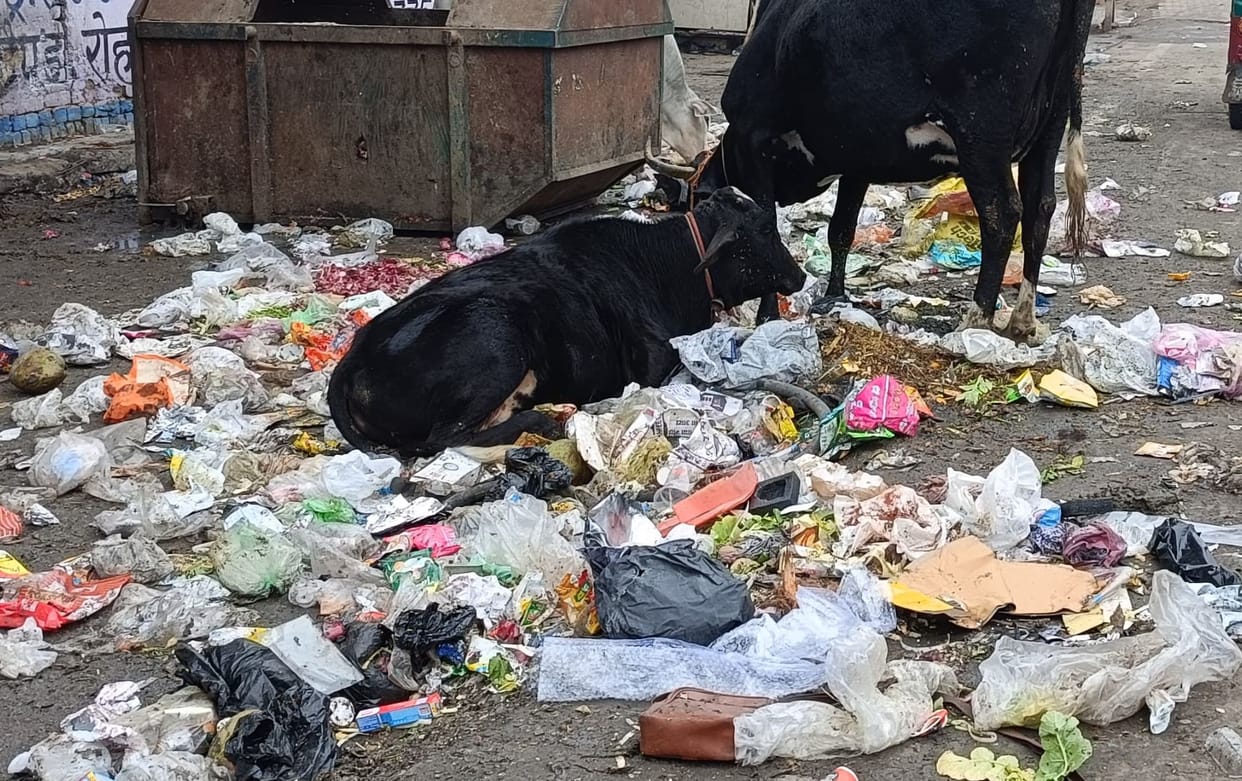 City Council's annual budget of Rs 16 crore on cleanliness, lagging behind in cleanliness