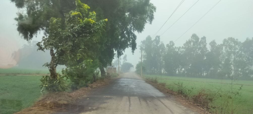Fear of accidents in fog at night due to lack of white stripes on the roads