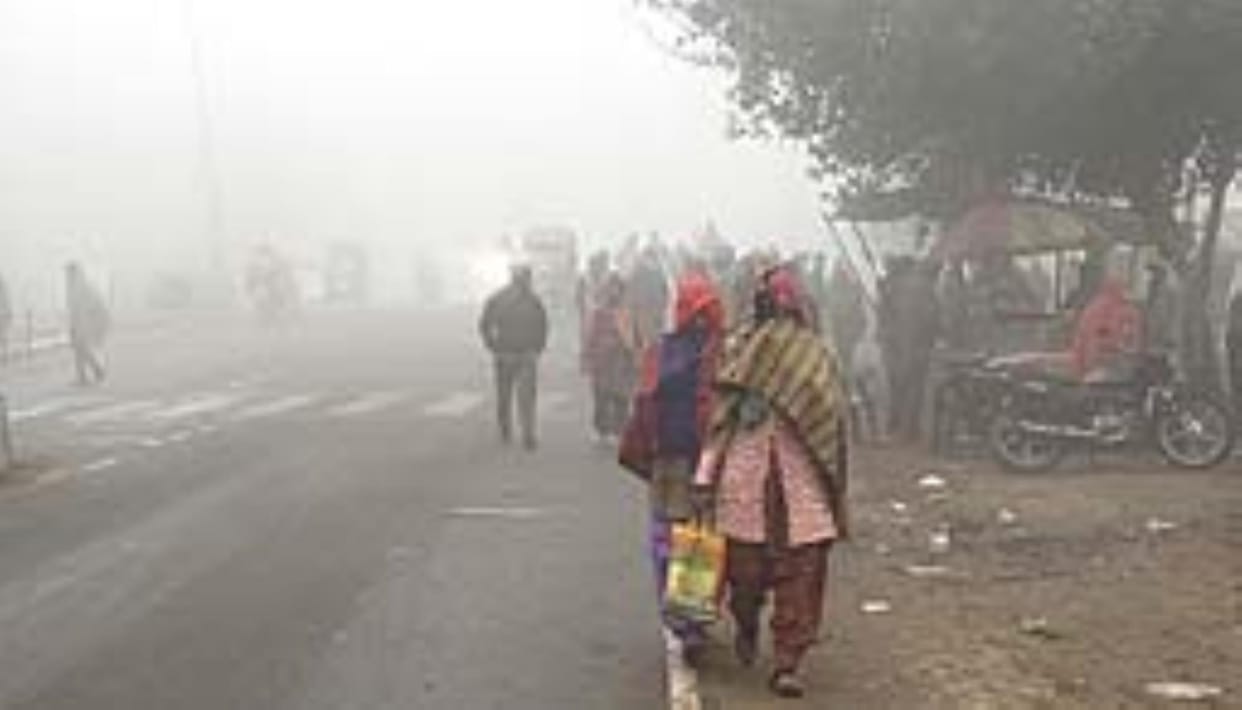 Shadowy fog in the morning, rain in the evening, schools closed till 18th class